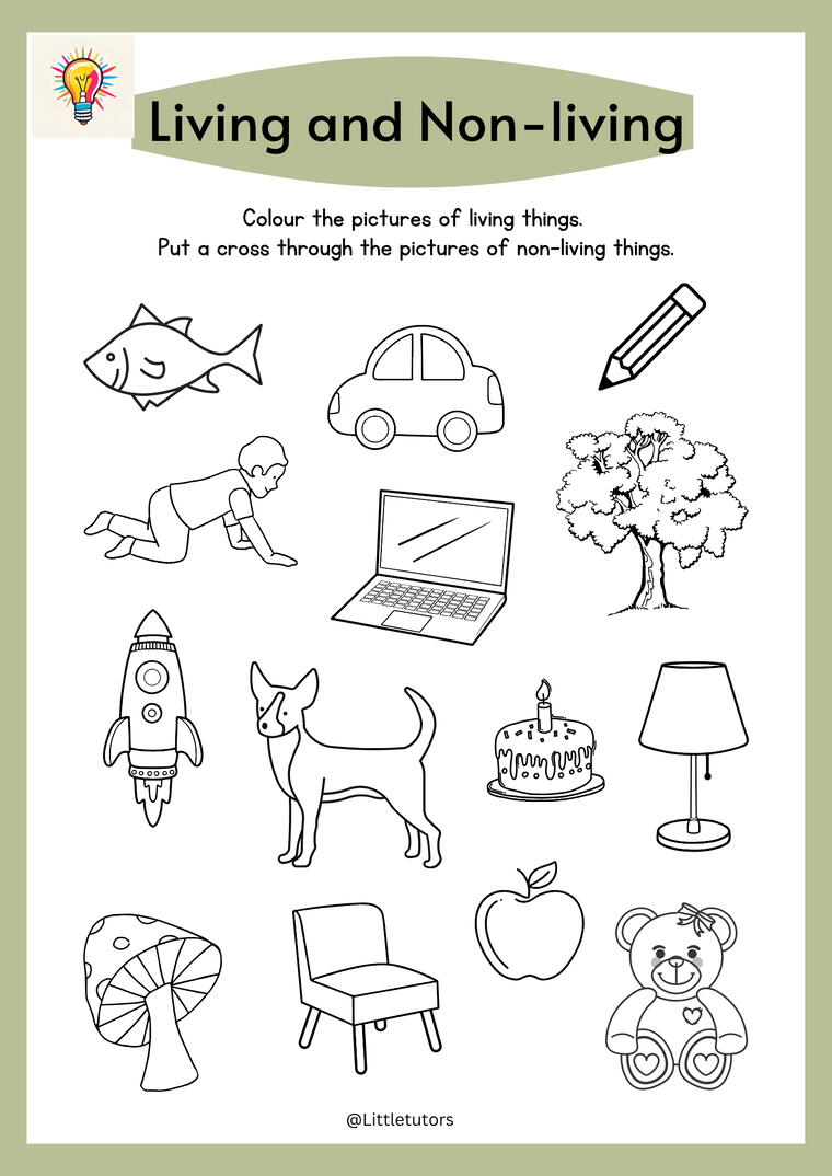 Carousel selected image