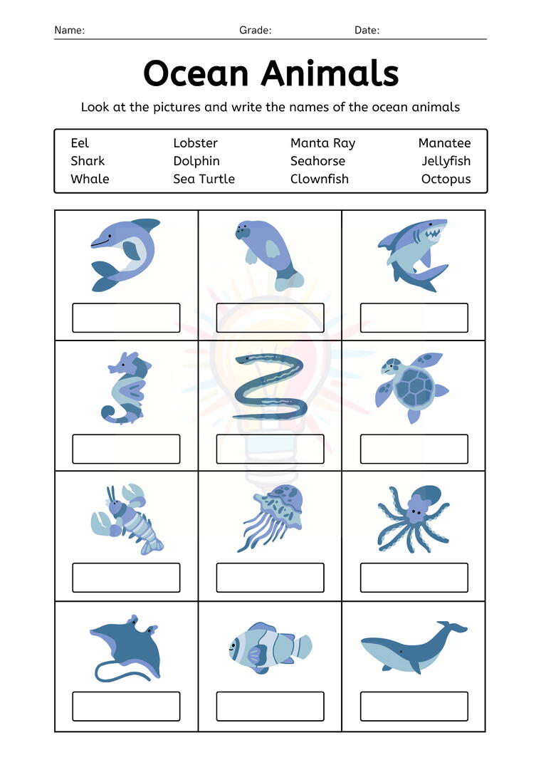 Carousel selected image