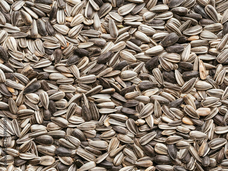 Sunflower Seeds