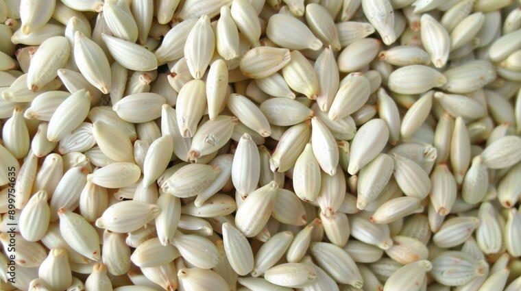 Kusum Dana (Safflower Seeds)