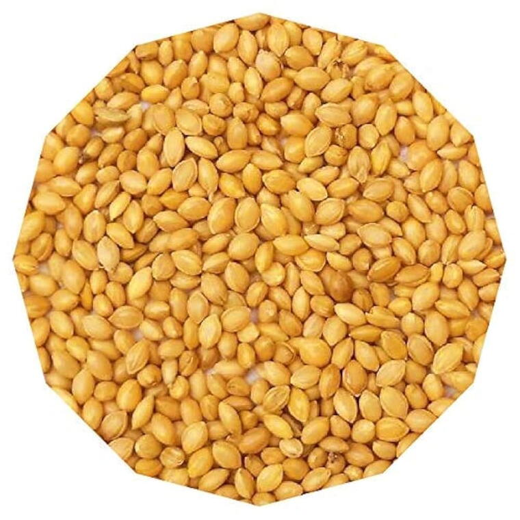 Carousel selected image