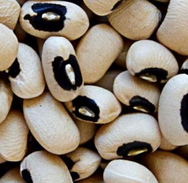 Cowpeas (బొబ్బర్లు)