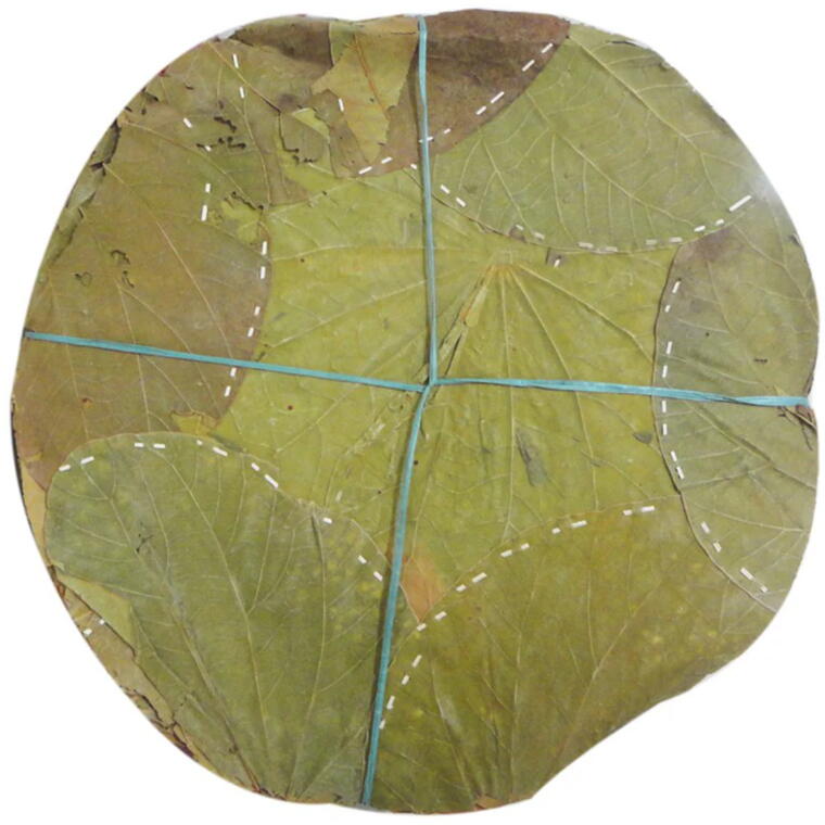 Vistarakulu (విస్తరాకులు)