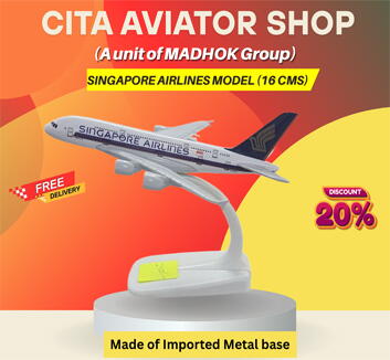 Singapore Airline Model-16cm