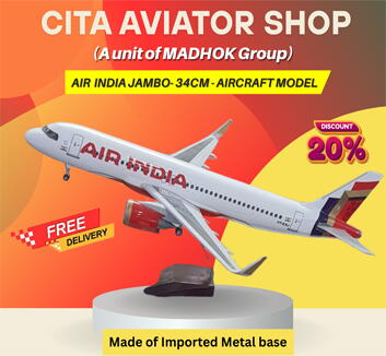 Air India Jambo 34cm-Aircraft Model
