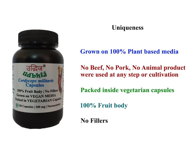 Cordyceps militaries 120 Capsules | 200 mg