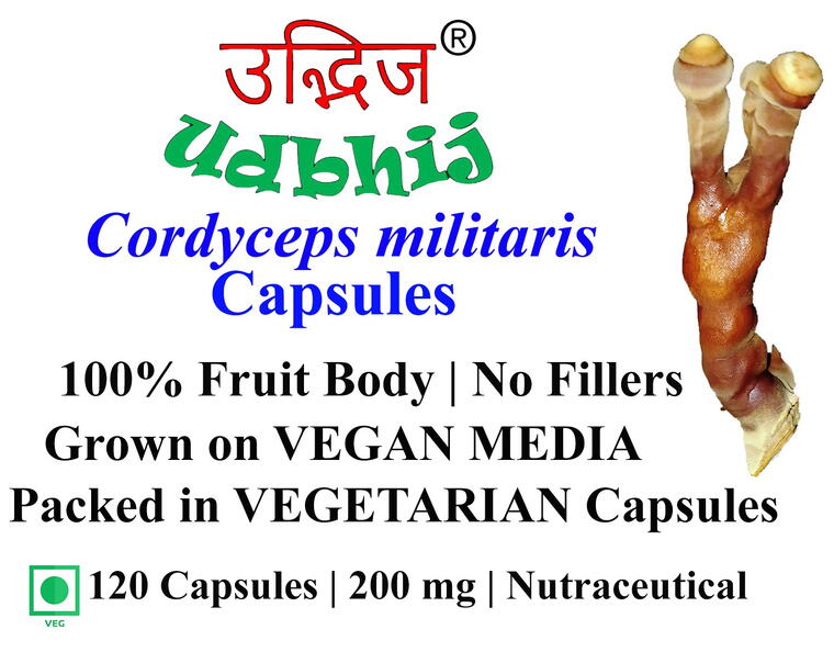 Cordyceps militaries 120 Capsules | 200 mg