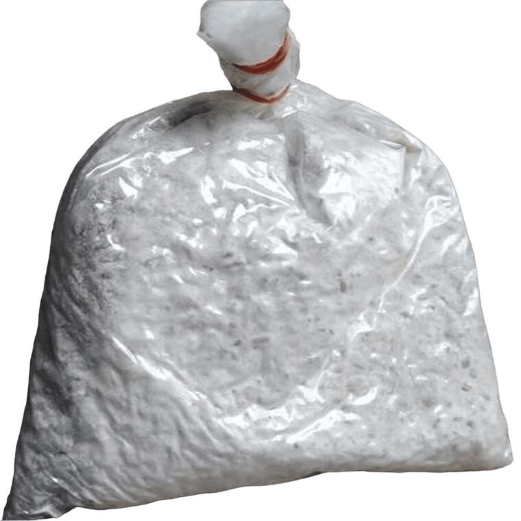 Oyster Mushroom Spawn (Seed)