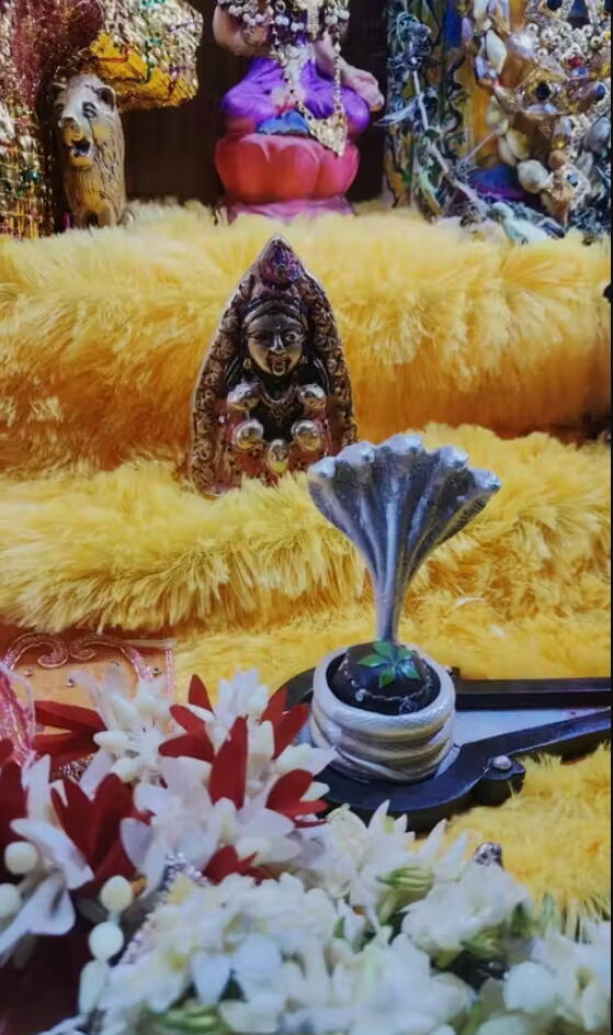 Shree Balrajeshwar Mahadev Swaroop