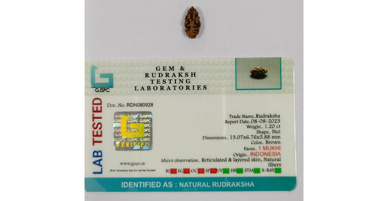 1 Mukhi Rudraksha (Indonesia), Regular size