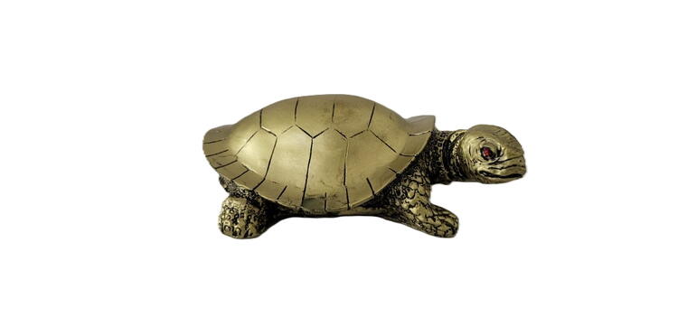 Tortoise (Ashtadhathu)