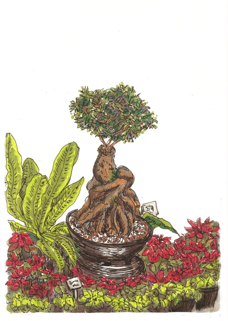 At the Nursery