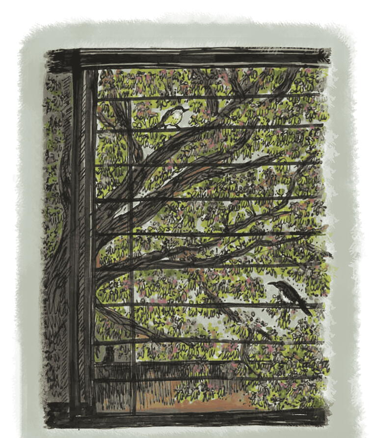 An Ode to a First Apartment - Zine