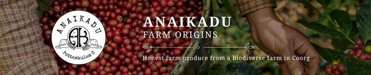 storefront banner