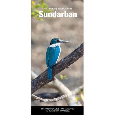 Carousel selected image