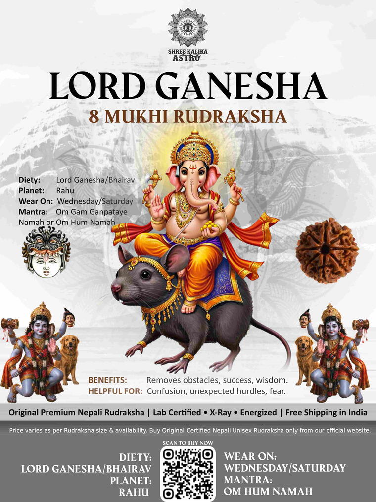 Nepali 8 Mukhi Rudraksha Original Lab Certified with X-Ray (Loose Bead)