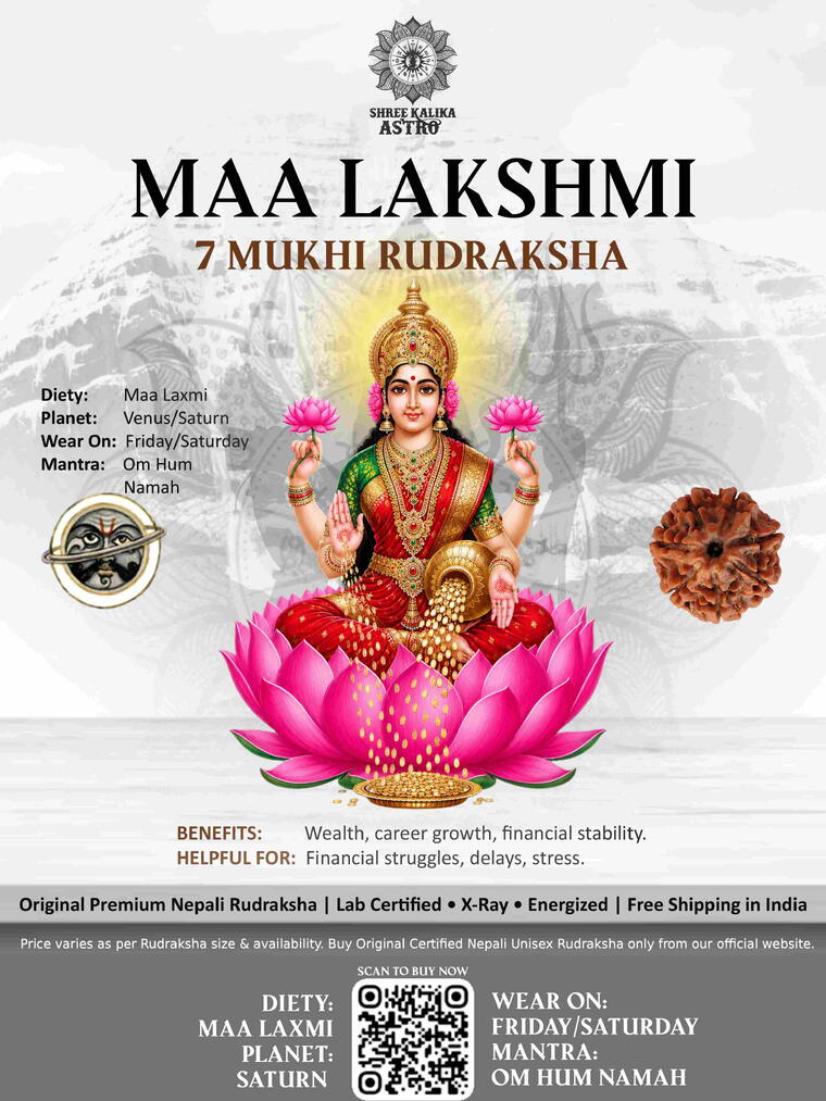 Nepali 7 Mukhi Rudraksha Original Lab Certified with X-Ray (Loose Bead)