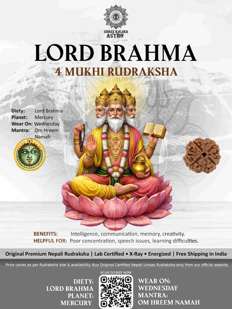Nepali 4 Mukhi Rudraksha Original Lab Certified with X-Ray (Loose Bead)