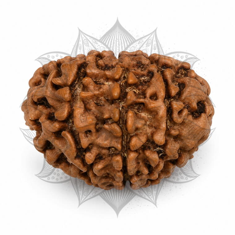 Nepali 9 Mukhi Rudraksha Original Lab Certified with X-Ray (Loose Bead)