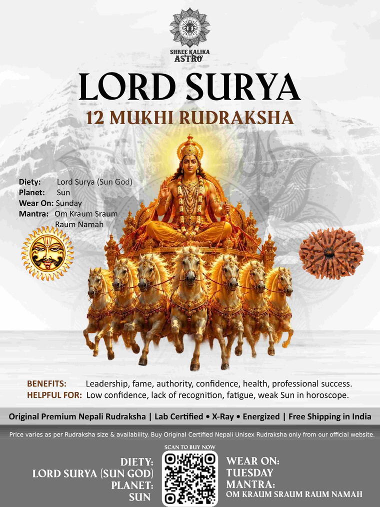 Nepali 12 Mukhi Rudraksha Original Lab Certified with X-Ray (Loose Bead)