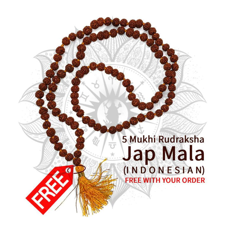 Nepali 14 Mukhi Rudraksha Original Lab Certified with X-Ray (Loose Bead)