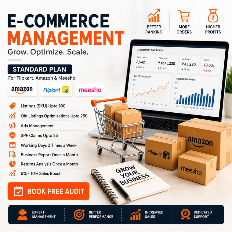 Standard Plan Ecom Account Manegement Plan (Monthaly)