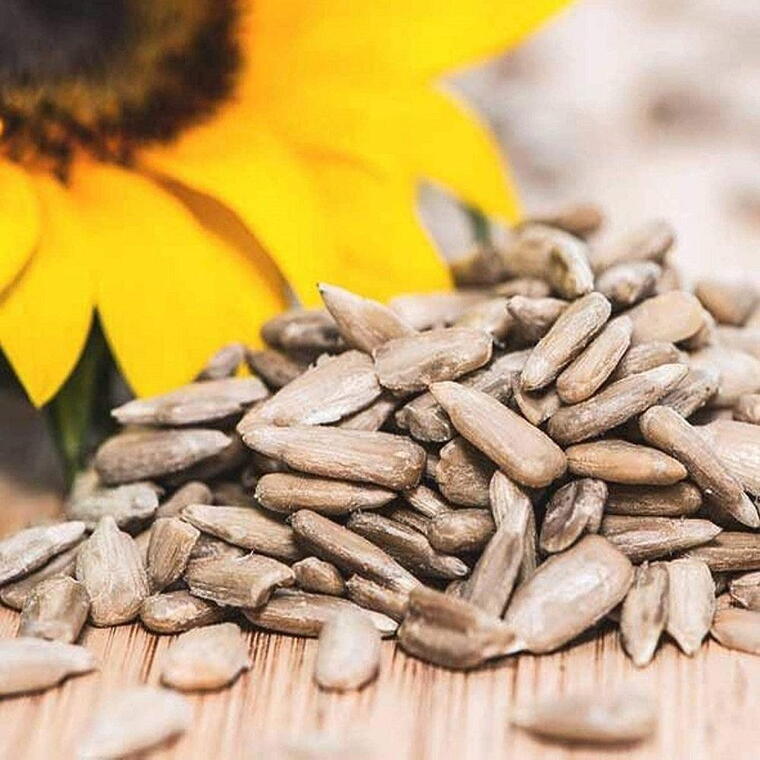 Moti Mewa Fresh Sunflower Seeds 100g