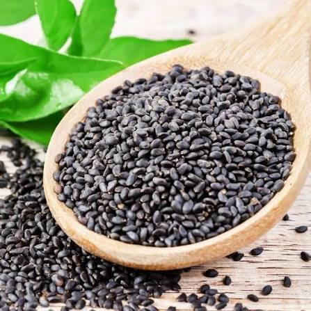 Moti Mewa Fresh Basil Seeds 100g