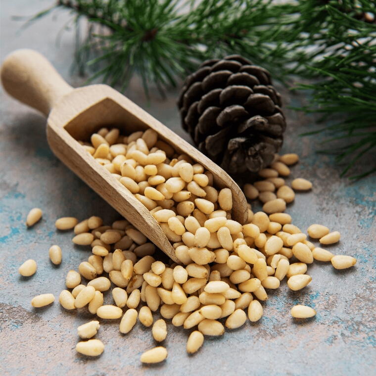 Moti Mewa Pine Nuts 100g