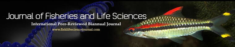 storefront banner