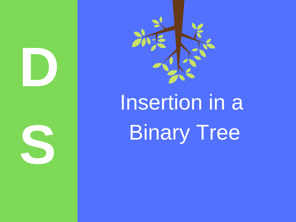Insertion in a Binary Tree Data Structure
