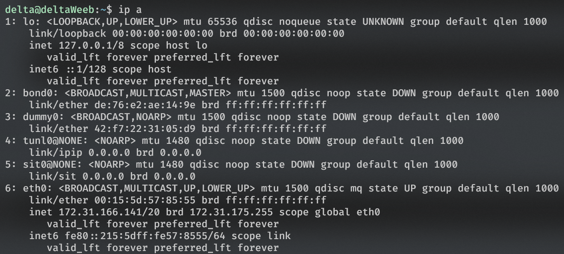 ip address of system