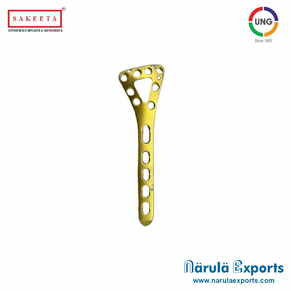 2.7mm Locking Distal Dorsal Radial Delta Plate