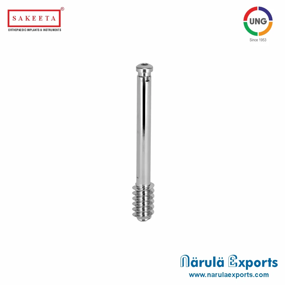 DHS/DCS LAG Screws with Compression Screws (Dia 12.5mm)