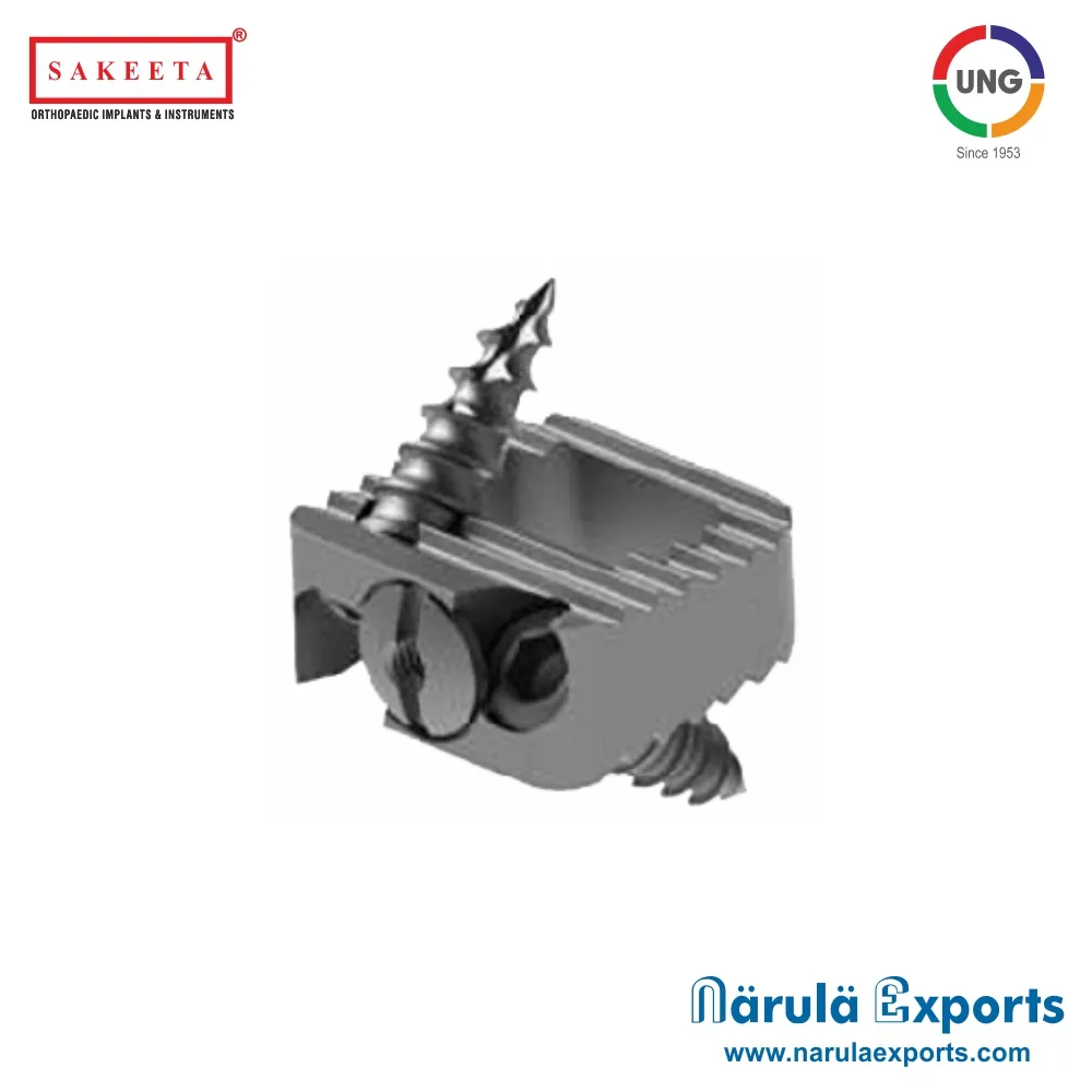 Cervical Cage with Screw