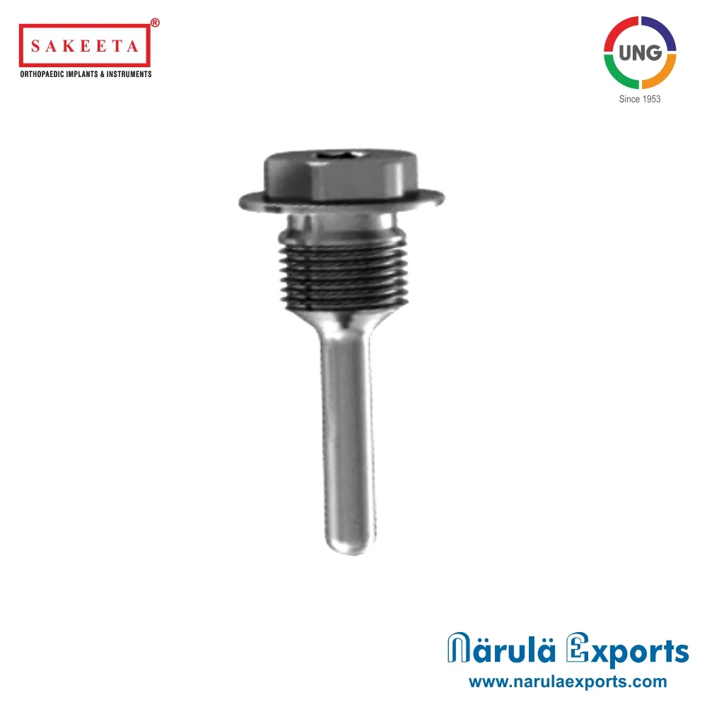 Locking End Cap for PFNA