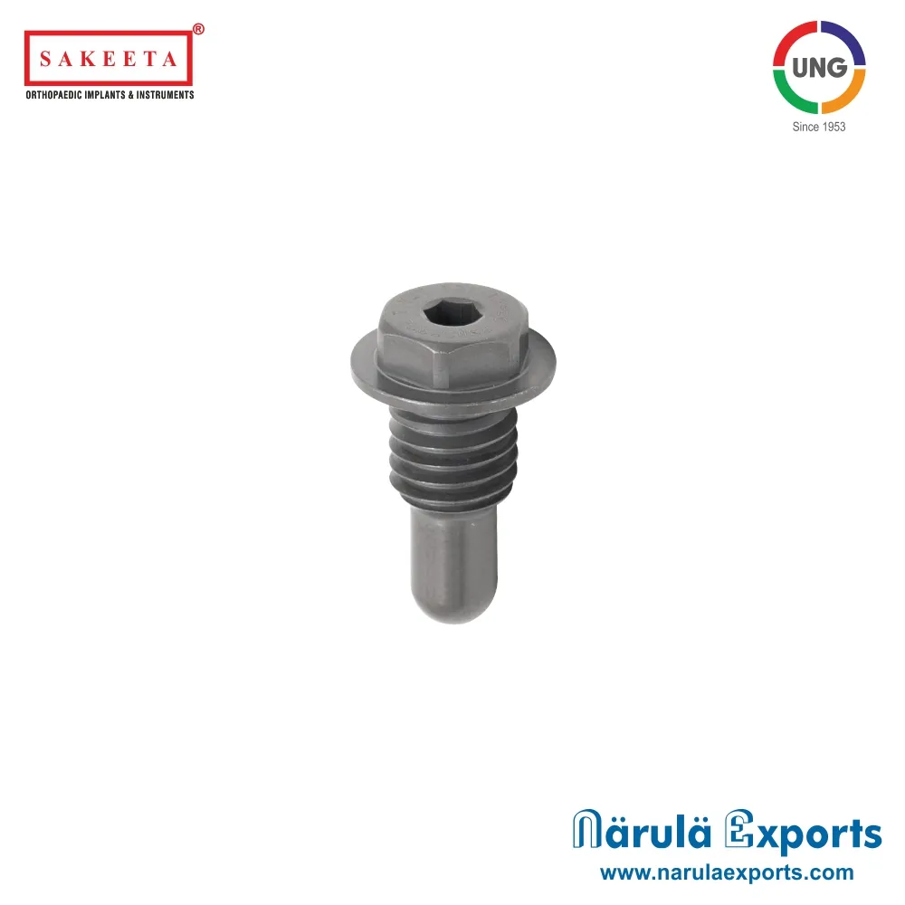Normal End Cap for PFNA