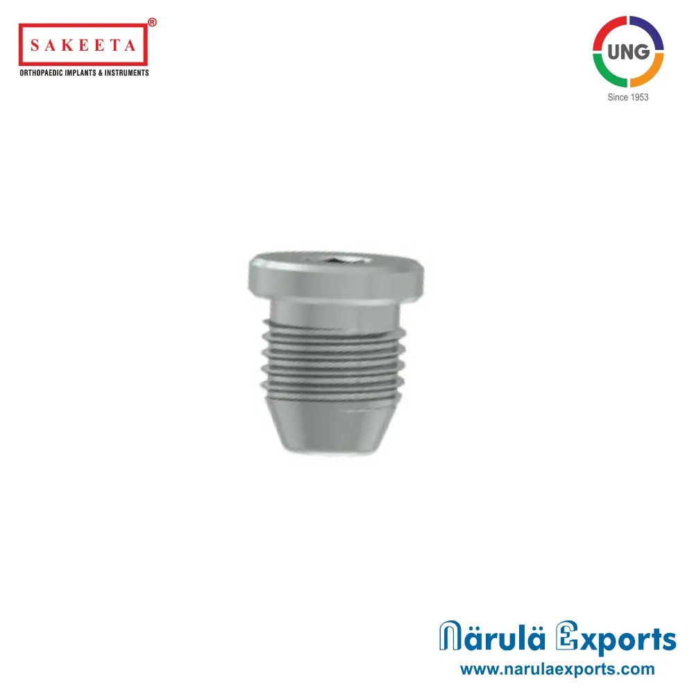 End Cap for Intertan Nail