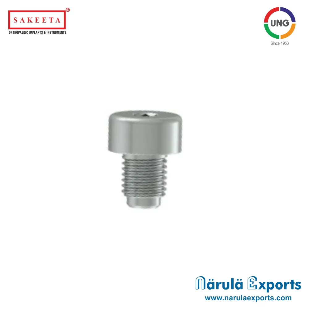 End Cap for Expert Femur Nail