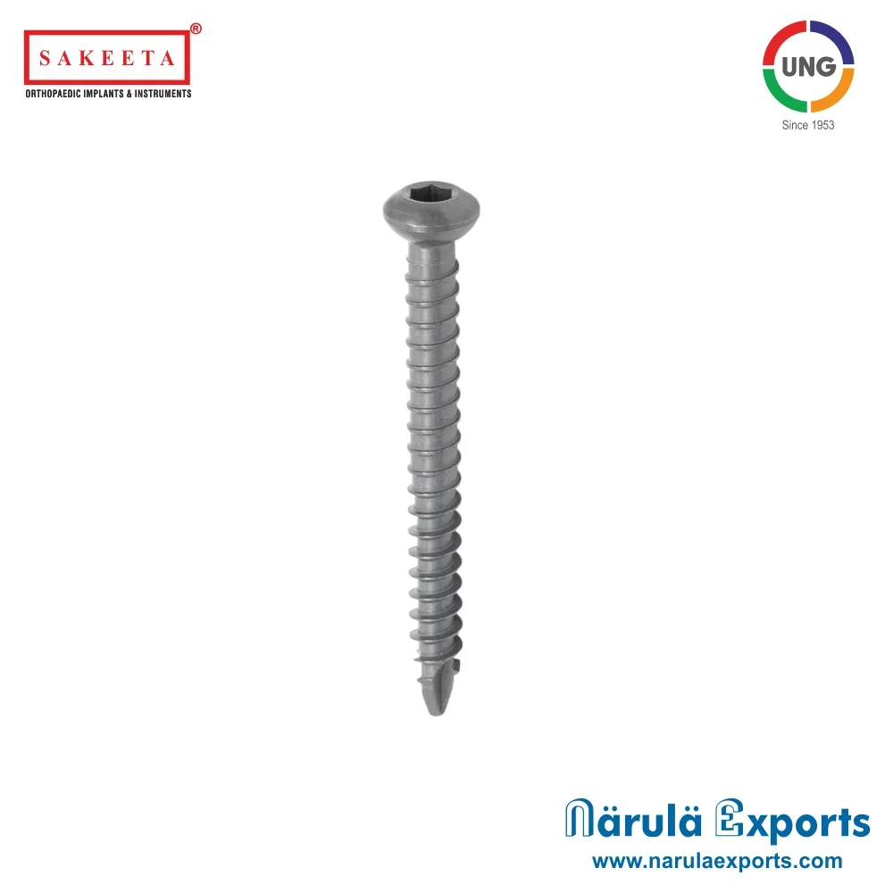 Ø4.8mm Proximal Locking Bolt Self Tapping for Expert Tibia Nail
