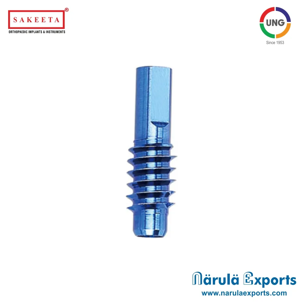 End Cap for Elastic Nails