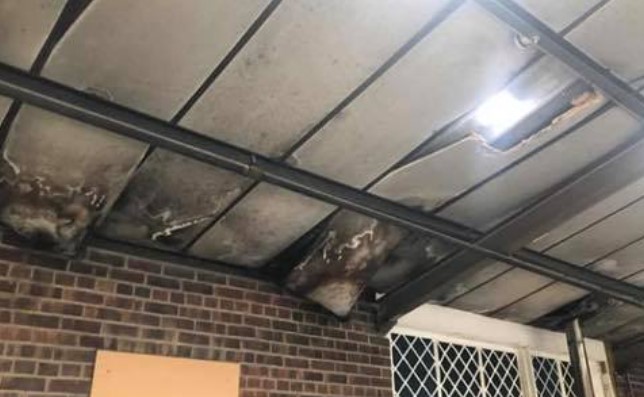 Asbestos Removal Specialists