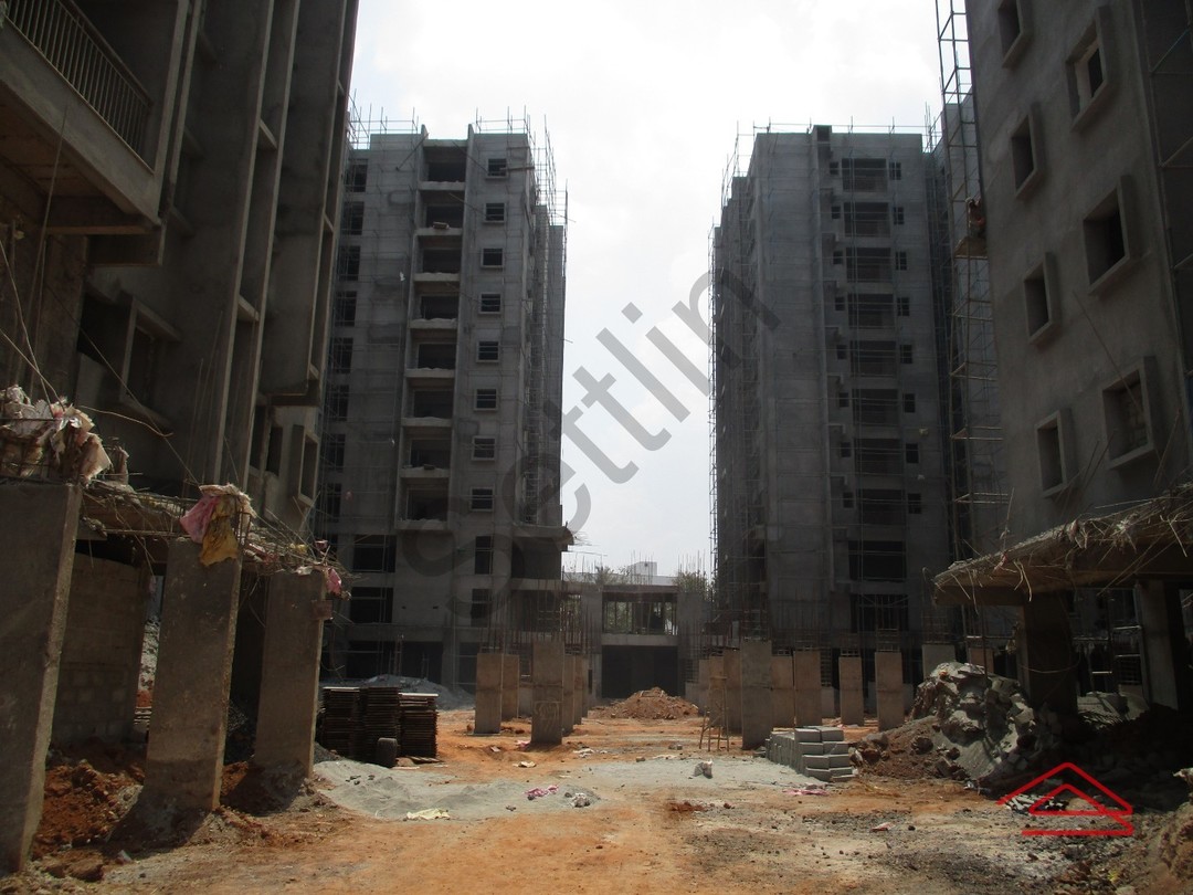 Alpine Fiesta (Hoodi) Settlin