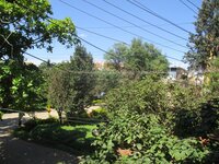 14NBU00055: Balcony 1