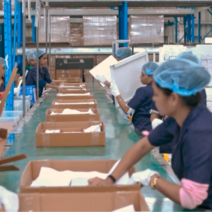 employees 