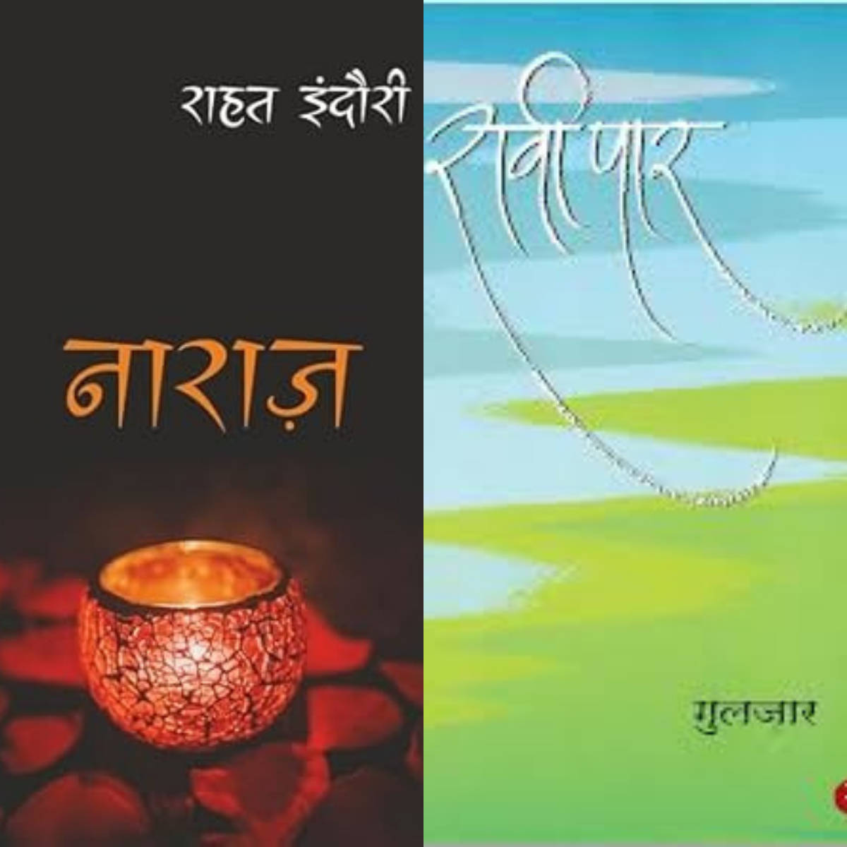 Naraz & Raavi Paar – Hindi PDF | Nafrat, Talakhiyan aur Mohabbat ke Behtareen Kisse