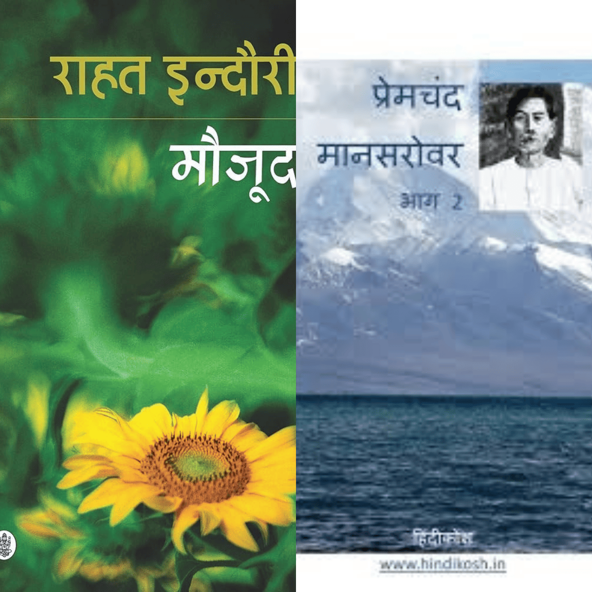 Maujood & Mansarowar – Hindi PDF | Zindagi, Antardwand aur Insaniyat