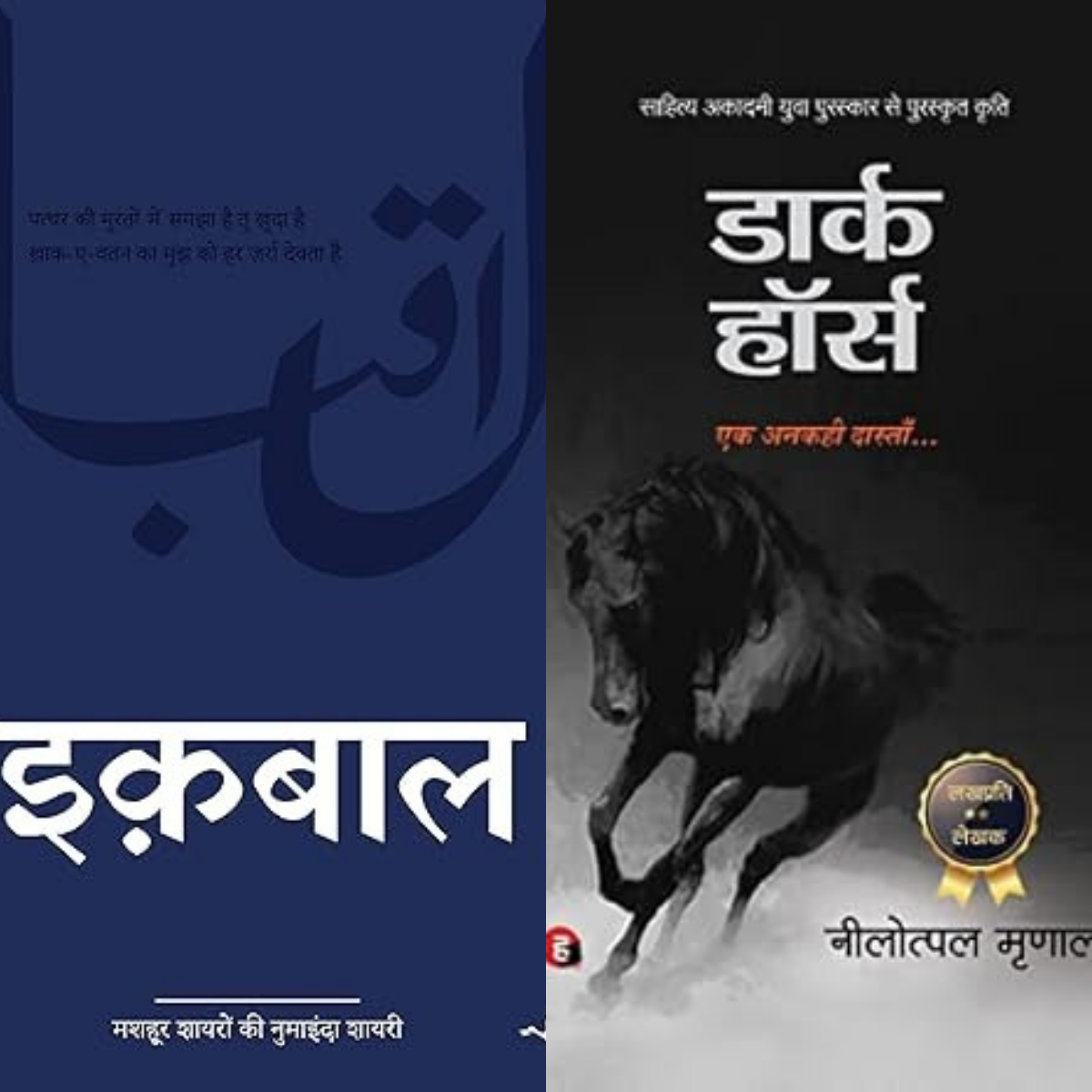 Dark Horse + Iqbal (Hindi Edition) – Hindi PDF Combo