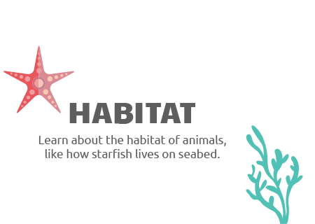 Habitat of animals Play Shifu Safari