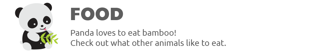 Food of animals Play Shifu Safari